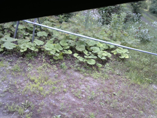 長野県菅平高原 ゆたか山荘 駐車場 2026/07/24 06:00