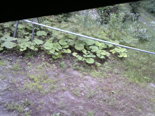 長野県菅平高原 ゆたか山荘 駐車場 2026/07/24 06:15