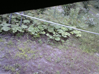 長野県菅平高原 ゆたか山荘 駐車場 2026/07/24 06:30
