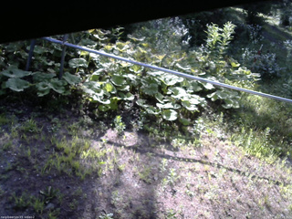 長野県菅平高原 ゆたか山荘 駐車場 2026/07/24 07:15