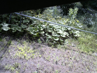 長野県菅平高原 ゆたか山荘 駐車場 2026/07/24 08:15