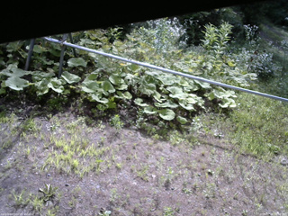 長野県菅平高原 ゆたか山荘 駐車場 2026/07/24 08:30