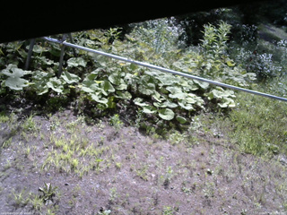 長野県菅平高原 ゆたか山荘 駐車場 2026/07/24 08:45