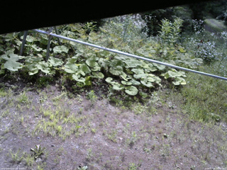 長野県菅平高原 ゆたか山荘 駐車場 2026/07/24 09:00