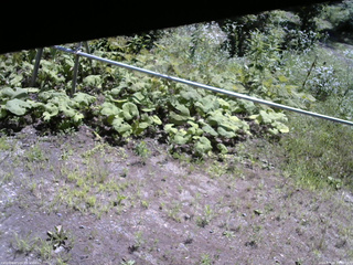 長野県菅平高原 ゆたか山荘 駐車場 2026/07/24 10:30