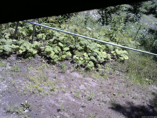 長野県菅平高原 ゆたか山荘 駐車場 2026/07/24 11:15