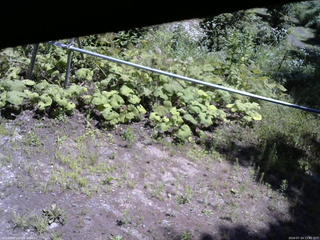 長野県菅平高原 ゆたか山荘 駐車場 2026/07/24 11:45