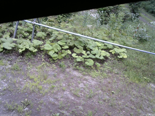 長野県菅平高原 ゆたか山荘 駐車場 2026/07/24 13:15
