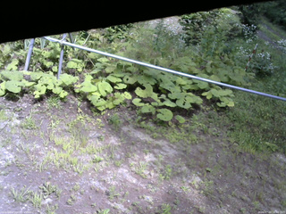 長野県菅平高原 ゆたか山荘 駐車場 2026/07/24 14:00