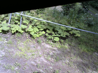 長野県菅平高原 ゆたか山荘 駐車場 2026/07/24 14:15