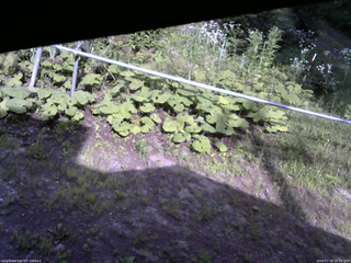 長野県菅平高原 ゆたか山荘 駐車場 2026/07/24 15:30