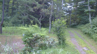長野県菅平高原 ゆたか山荘 坂上 2026/07/24 05:15