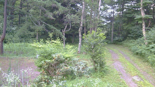 長野県菅平高原 ゆたか山荘 坂上 2026/07/24 05:30