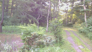 長野県菅平高原 ゆたか山荘 坂上 2026/07/24 05:45