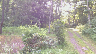 長野県菅平高原 ゆたか山荘 坂上 2026/07/24 06:00