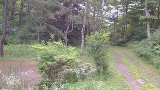 長野県菅平高原 ゆたか山荘 坂上 2026/07/24 06:15