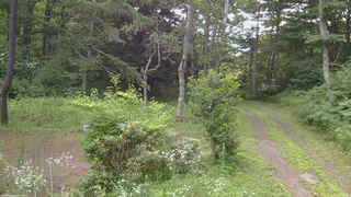 長野県菅平高原 ゆたか山荘 坂上 2026/07/24 07:00