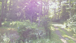 長野県菅平高原 ゆたか山荘 坂上 2026/07/24 07:15