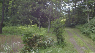 長野県菅平高原 ゆたか山荘 坂上 2026/07/24 08:00