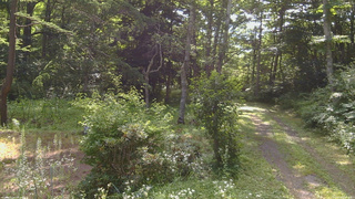 長野県菅平高原 ゆたか山荘 坂上 2026/07/24 08:15