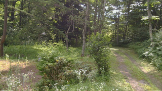 長野県菅平高原 ゆたか山荘 坂上 2026/07/24 08:30