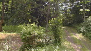 長野県菅平高原 ゆたか山荘 坂上 2026/07/24 08:45