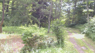 長野県菅平高原 ゆたか山荘 坂上 2026/07/24 09:00