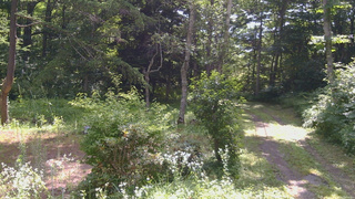 長野県菅平高原 ゆたか山荘 坂上 2026/07/24 09:15