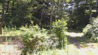 長野県菅平高原 ゆたか山荘 坂上 2026/07/24 10:00