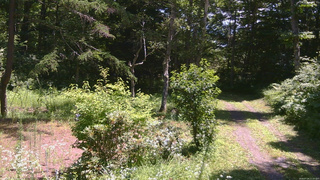 長野県菅平高原 ゆたか山荘 坂上 2026/07/24 11:15
