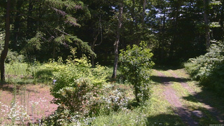 長野県菅平高原 ゆたか山荘 坂上 2026/07/24 11:30
