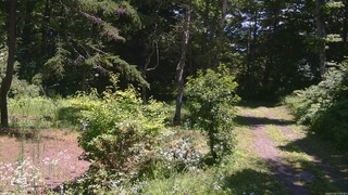 長野県菅平高原 ゆたか山荘 坂上 2026/07/24 11:45