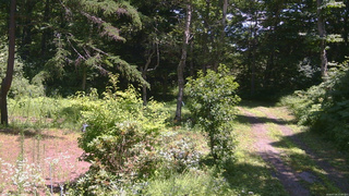 長野県菅平高原 ゆたか山荘 坂上 2026/07/24 12:00