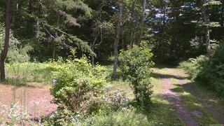 長野県菅平高原 ゆたか山荘 坂上 2026/07/24 12:15