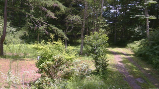 長野県菅平高原 ゆたか山荘 坂上 2026/07/24 12:30