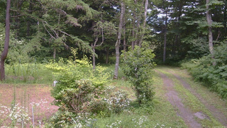 長野県菅平高原 ゆたか山荘 坂上 2026/07/24 12:45