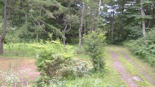 長野県菅平高原 ゆたか山荘 坂上 2026/07/24 13:00