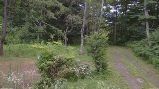 長野県菅平高原 ゆたか山荘 坂上 2026/07/24 13:15