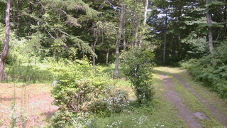 長野県菅平高原 ゆたか山荘 坂上 2026/07/24 13:45