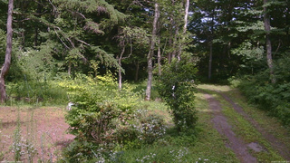 長野県菅平高原 ゆたか山荘 坂上 2026/07/24 14:00