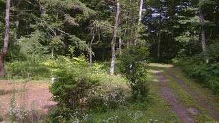 長野県菅平高原 ゆたか山荘 坂上 2026/07/24 14:15
