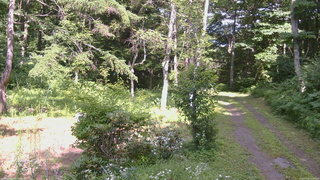 長野県菅平高原 ゆたか山荘 坂上 2026/07/24 14:30