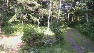 長野県菅平高原 ゆたか山荘 坂上 2026/07/24 15:15