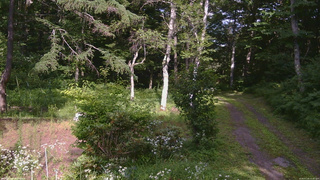 長野県菅平高原 ゆたか山荘 坂上 2026/07/24 15:30