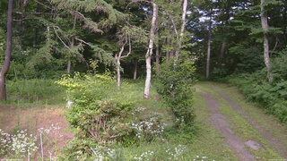 長野県菅平高原 ゆたか山荘 坂上 2026/07/24 15:45