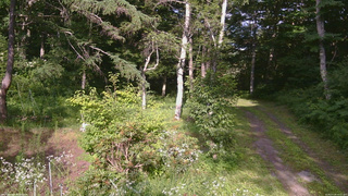 長野県菅平高原 ゆたか山荘 坂上 2026/07/24 16:15