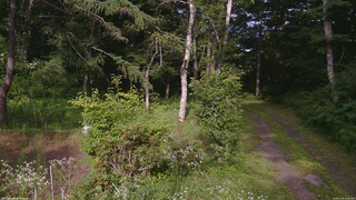 長野県菅平高原 ゆたか山荘 坂上 2026/07/24 16:30