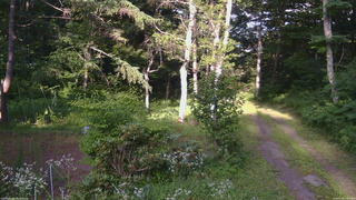長野県菅平高原 ゆたか山荘 坂上 2026/07/24 17:15