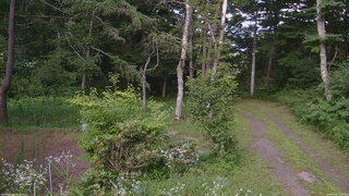 長野県菅平高原 ゆたか山荘 坂上 2026/07/24 17:30