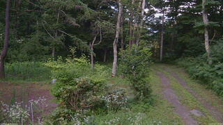 長野県菅平高原 ゆたか山荘 坂上 2026/07/24 17:45